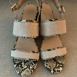 Brand New Shoes. Excellent Condition